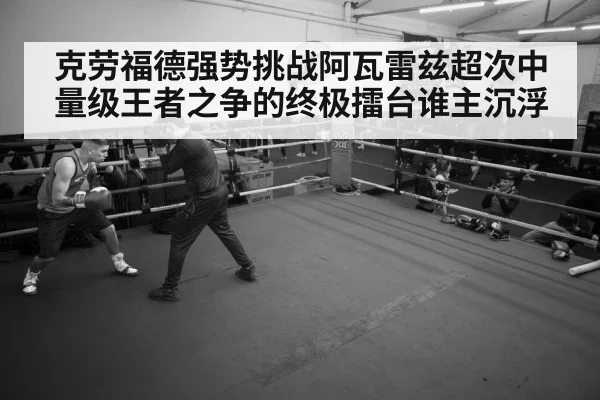 boxer training gym