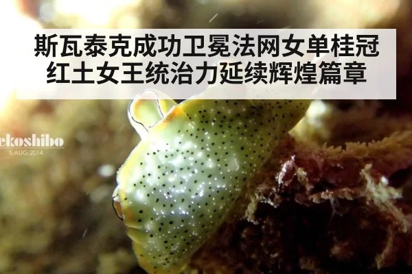 斯瓦泰克成功卫冕法网女单桂冠红土女王统治力延续辉煌篇章